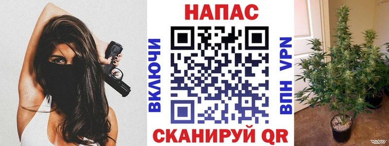 Купить наркотик аптеки Ртищево КОКАИН Псилоцибиновые грибы СОЛЬ Марихуана ГАШИШ МЕФ
