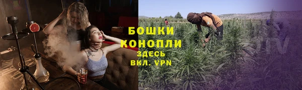 сатива Покровск