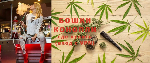 сатива Покровск