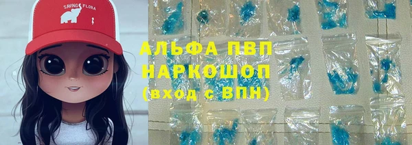 СК Покров