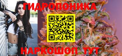 ПСИЛОЦИБИНОВЫЕ ГРИБЫ Кандалакша