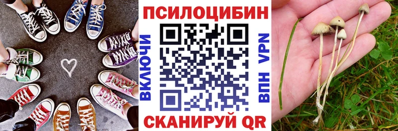где можно купить наркотик  Ртищево  MEGA как войти  Псилоцибиновые грибы прущие грибы 