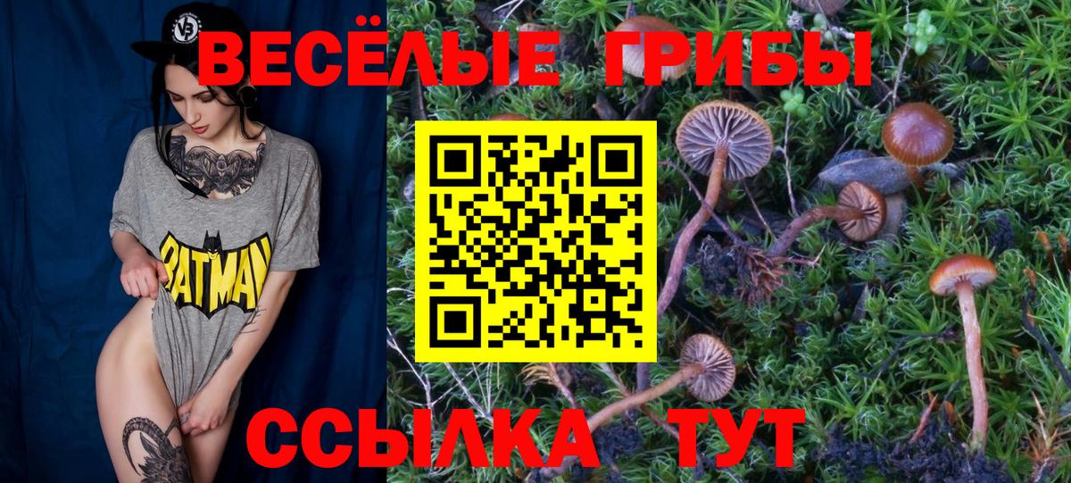 Ртищево  Галлюциногенные грибы Magic Shrooms  Вход с VPN 