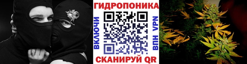 MEGA сайт Ртищево Конопля индика где купить